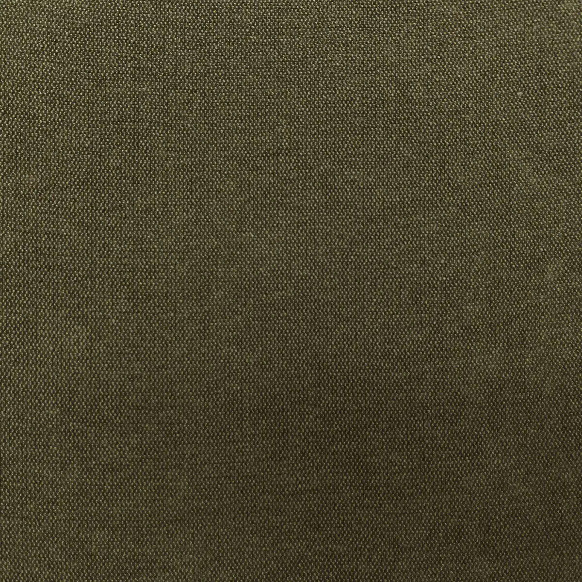 Roma Fabric - Palmer by Roma Fabric from Cristina Marrone Roma collection - green plain velvet-chenille