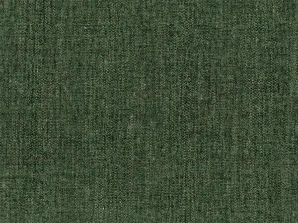 Salice Fabric - Hunter by Salice Fabric from Cristina Marrone Salice collection - green plain woven