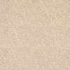 Gardiner Fabric from Warwick Hampton Weaves & Embroideries collection - neutral botanical embroideried