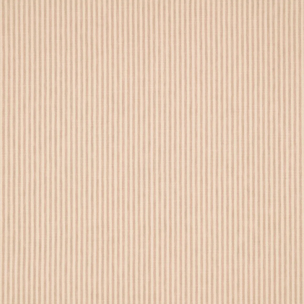 Shoreham Fabric - Shell by Shoreham Fabric from Warwick Hampton Prints collection - pink striped printed