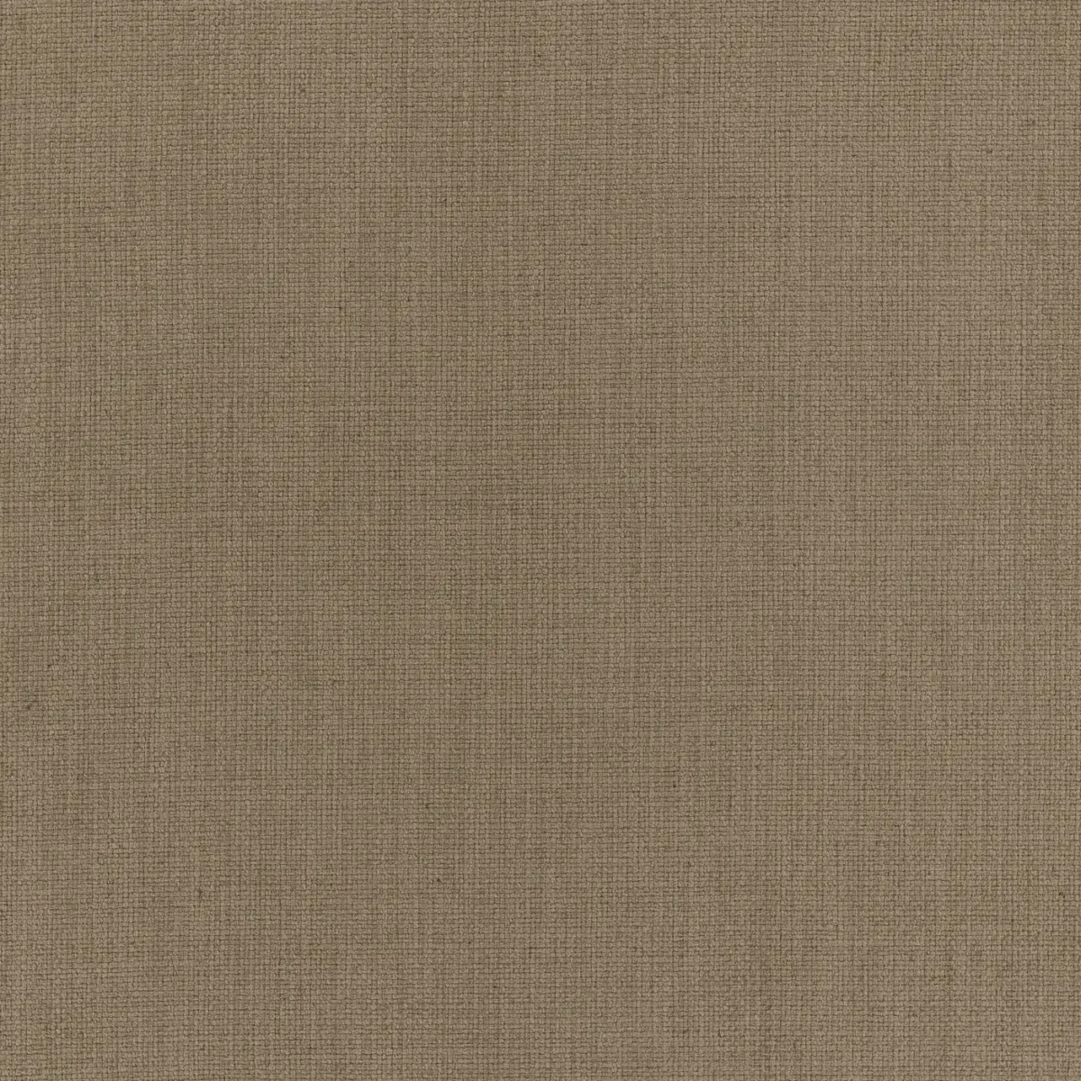 Jaeger Fabric - Praline by Jaeger Fabric from Warwick Jaeger collection - neutral plain woven