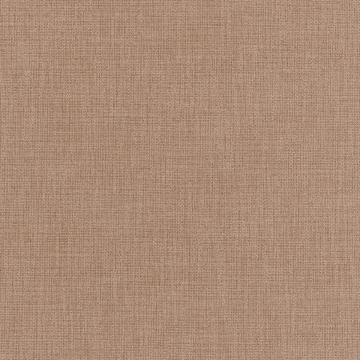 Jaeger Fabric - Shell by Jaeger Fabric from Warwick Jaeger collection - neutral plain woven
