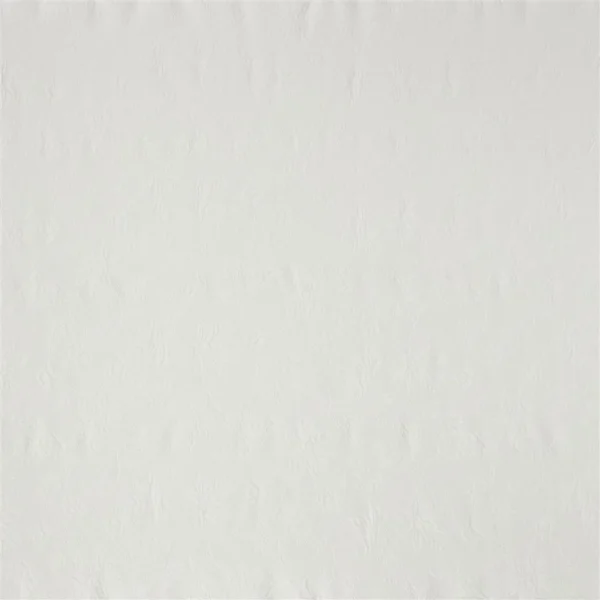 Rosecrest Matelasse Off Fabric - White by Rosecrest Matelasse Off Fabric from Ralph Lauren Medow Lane collection - white botanical woven