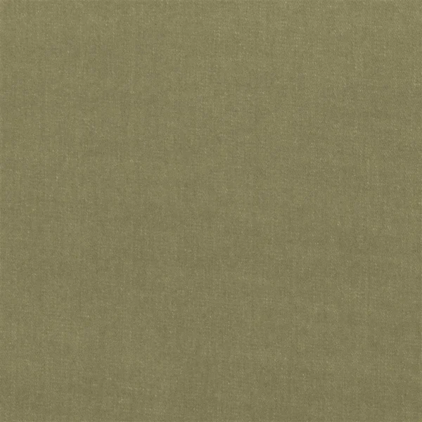 Workwear Twill Fabric - Camel by Workwear Twill Fabric from Ralph Lauren Cotton Library collection - green plain cotton