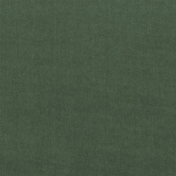 Workwear Twill Fabric from Ralph Lauren Cotton Library collection - green plain cotton