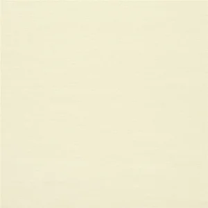 Canvas Fabric from Ralph Lauren Cotton Library collection - white plain cotton