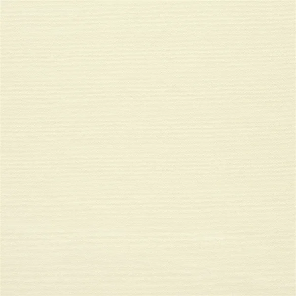 Canvas Fabric from Ralph Lauren Cotton Library collection - white plain cotton
