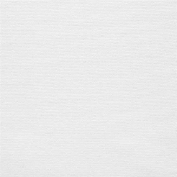 Canvas Fabric - Ivory by Canvas Fabric from Ralph Lauren Cotton Library collection - white plain cotton