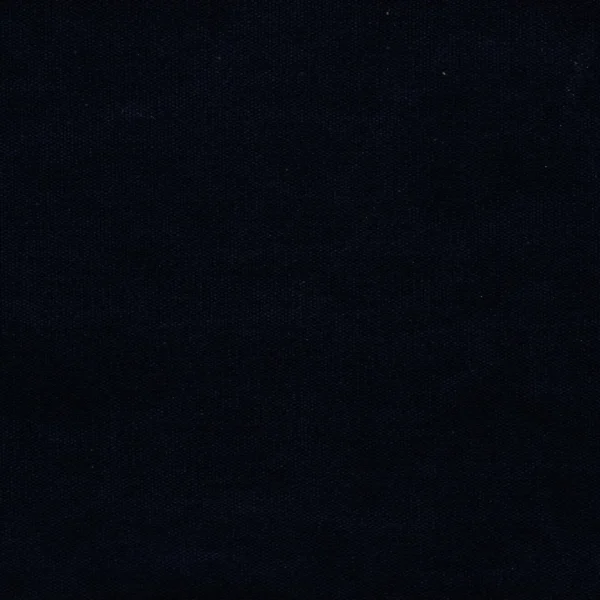 Canvas Fabric from Ralph Lauren Cotton Library collection - blue plain cotton