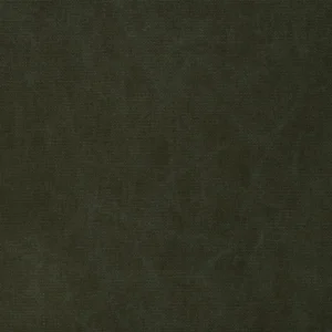 Canvas Fabric from Ralph Lauren Cotton Library collection - green plain cotton