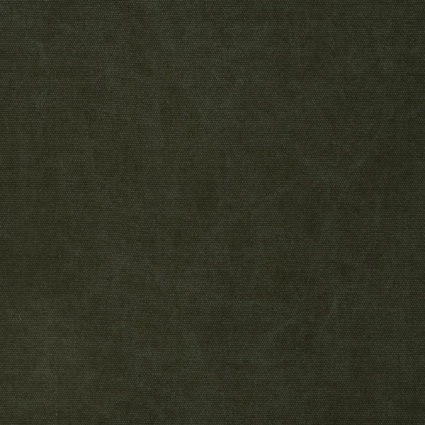 Canvas Fabric - Loden by Canvas Fabric from Ralph Lauren Cotton Library collection - green plain cotton