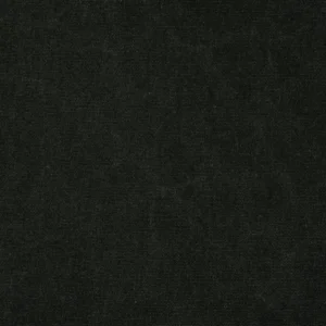 Canvas Fabric from Ralph Lauren Cotton Library collection - black-grey plain cotton