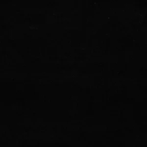 Canvas Fabric from Ralph Lauren Cotton Library collection - black-grey plain cotton