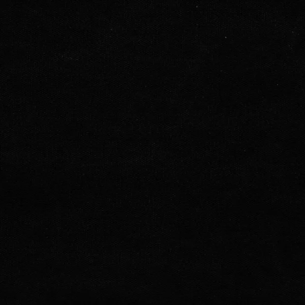Canvas Fabric - Black by Canvas Fabric from Ralph Lauren Cotton Library collection - black-grey plain cotton
