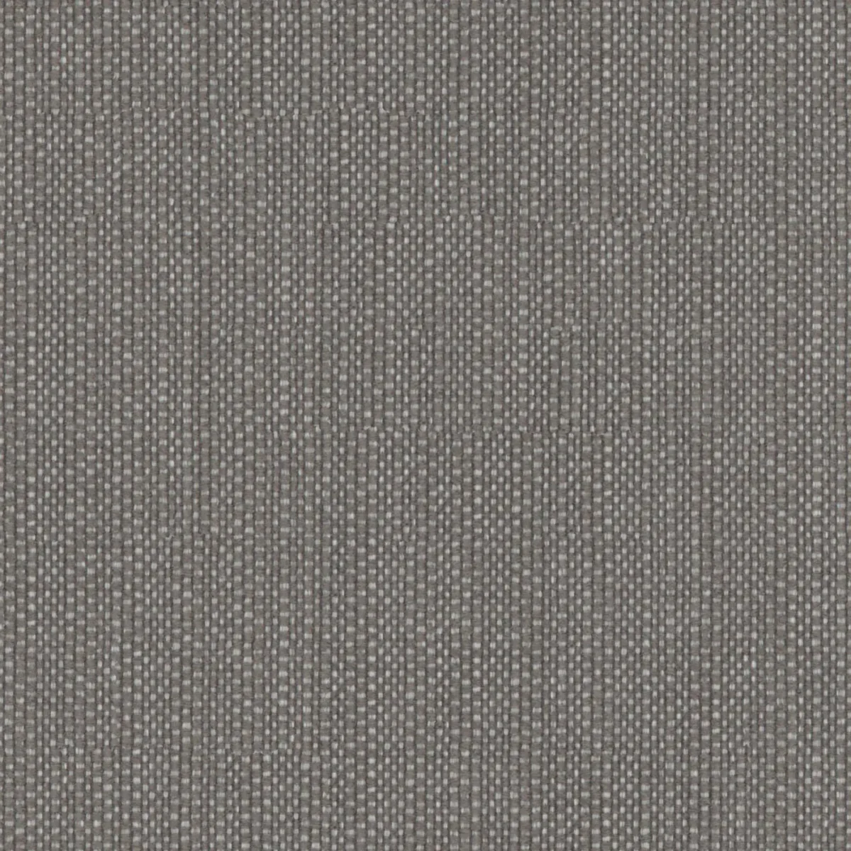 Maverick Fabric - 20 Owl by Maverick Fabric from Wemyss Maverick collection - black-grey plain jacquard