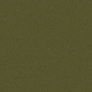 Marilyn Fabric  from Wemyss Marilyn collection - green plain velvet-chenille