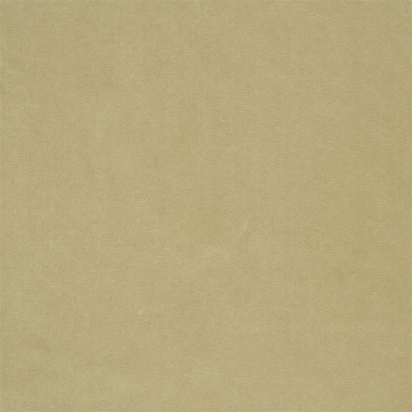 Cassia Fabric - Biscuit by Cassia Fabric from Designers Guild Cassia collection - green plain velvet-chenille