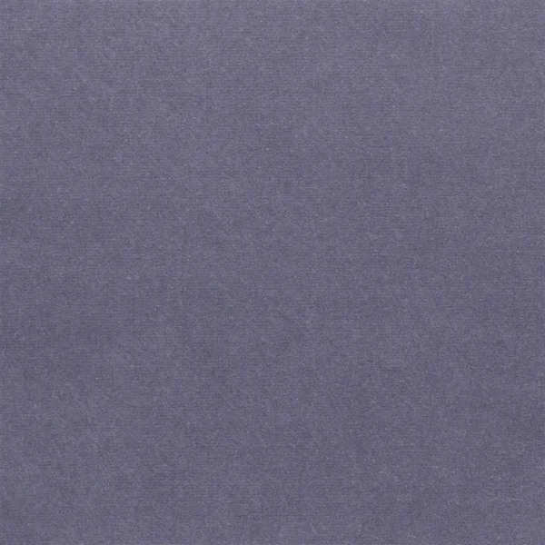 Cassia Fabric - Loganberry by Cassia Fabric from Designers Guild Cassia collection - black-grey plain velvet-chenille