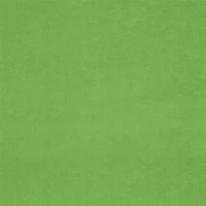 Cassia Fabric from Designers Guild Cassia collection - green plain velvet-chenille