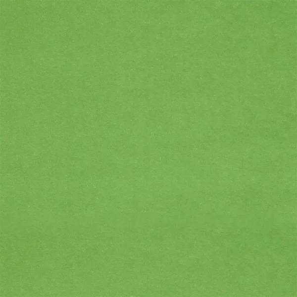 Cassia Fabric - Grass by Cassia Fabric from Designers Guild Cassia collection - green plain velvet-chenille