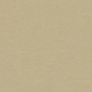 Boutique Fabric from Prestigious Textiles Boutique collection - brown plain woven