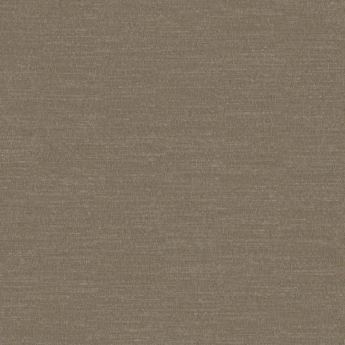 Boutique Fabric - Pinecone by Boutique Fabric from Prestigious Textiles Boutique collection - brown plain woven