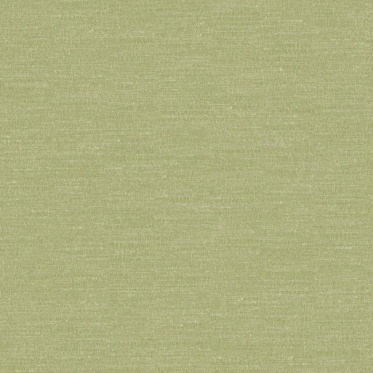 Boutique Fabric from Prestigious Textiles Boutique collection - green plain woven