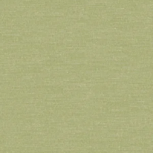 Boutique Fabric from Prestigious Textiles Boutique collection - green plain woven