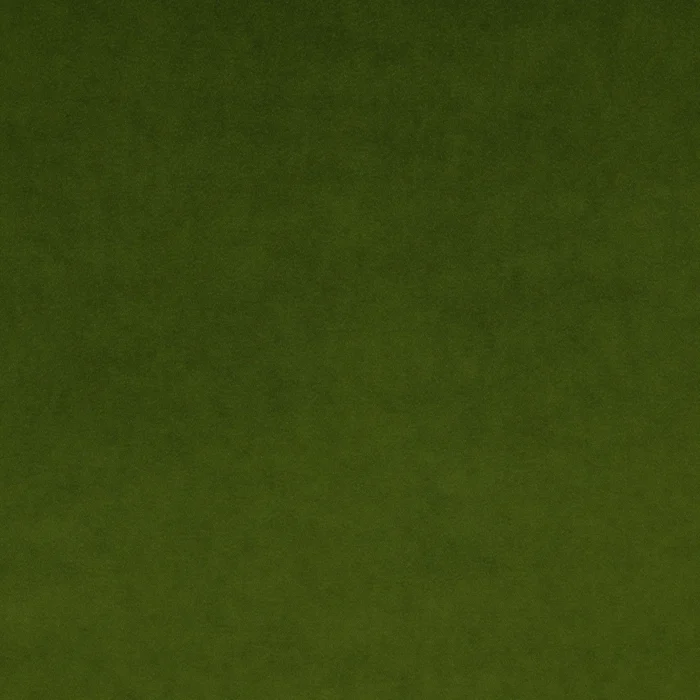 Omega Fabric - Pickle swatch