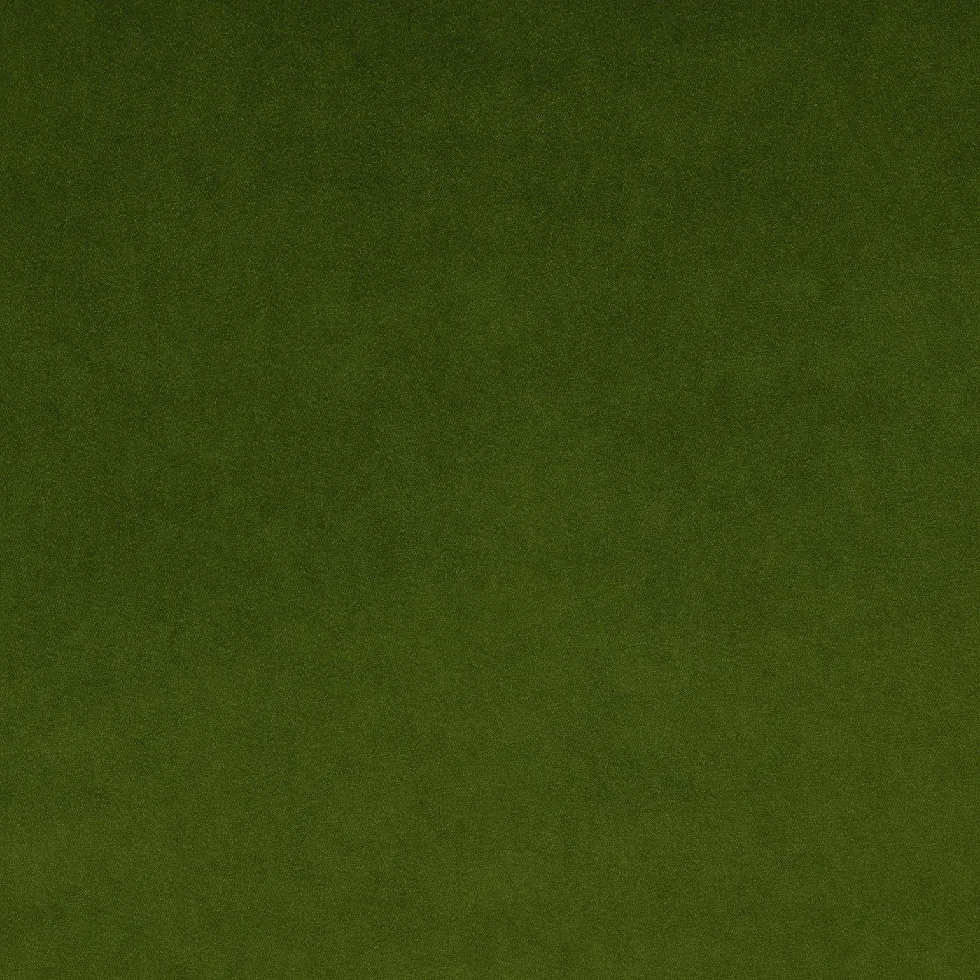 Omega Fabric – Pickle