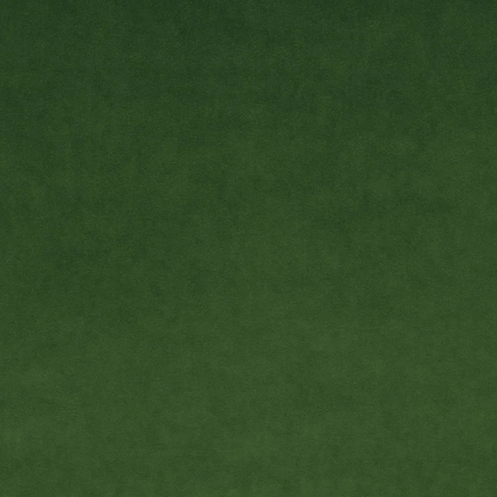 Omega Fabric - Fern swatch