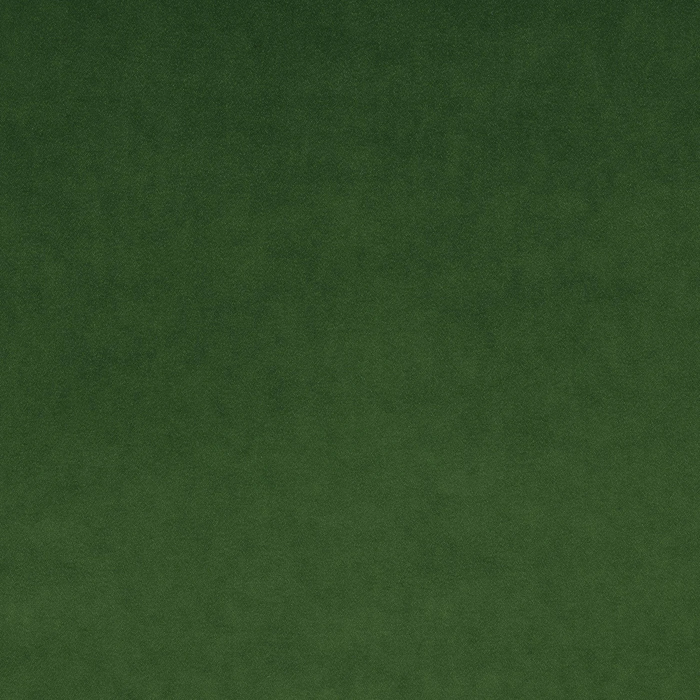 Omega Fabric – Fern