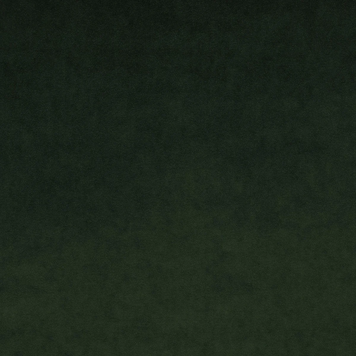 Omega Fabric - Bottle Green by Omega Fabric from Linwood Fabrics Omega IV collection - green plain velvet-chenille