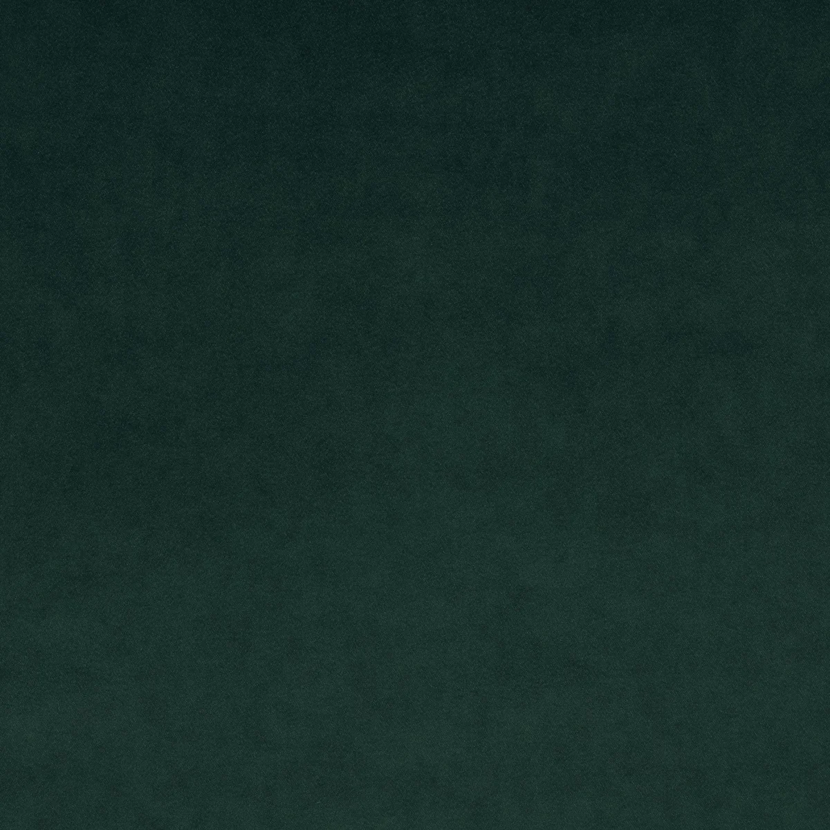 Omega Fabric - Rainforest by Omega Fabric from Linwood Fabrics Omega IV collection - green plain velvet-chenille