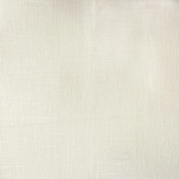 Crawley Fabric - Chalk by Crawley Fabric from Prestigious Textiles Collective Sheers collection - white plain voile-sheer