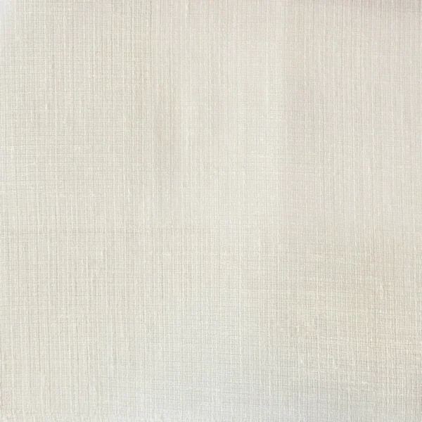 Diaz Fabric - Chalk by Diaz Fabric from Prestigious Textiles Collective Sheers collection - white plain voile-sheer