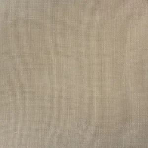 Garcia Fabric from Prestigious Textiles Collective Sheers collection - neutral plain voile-sheer