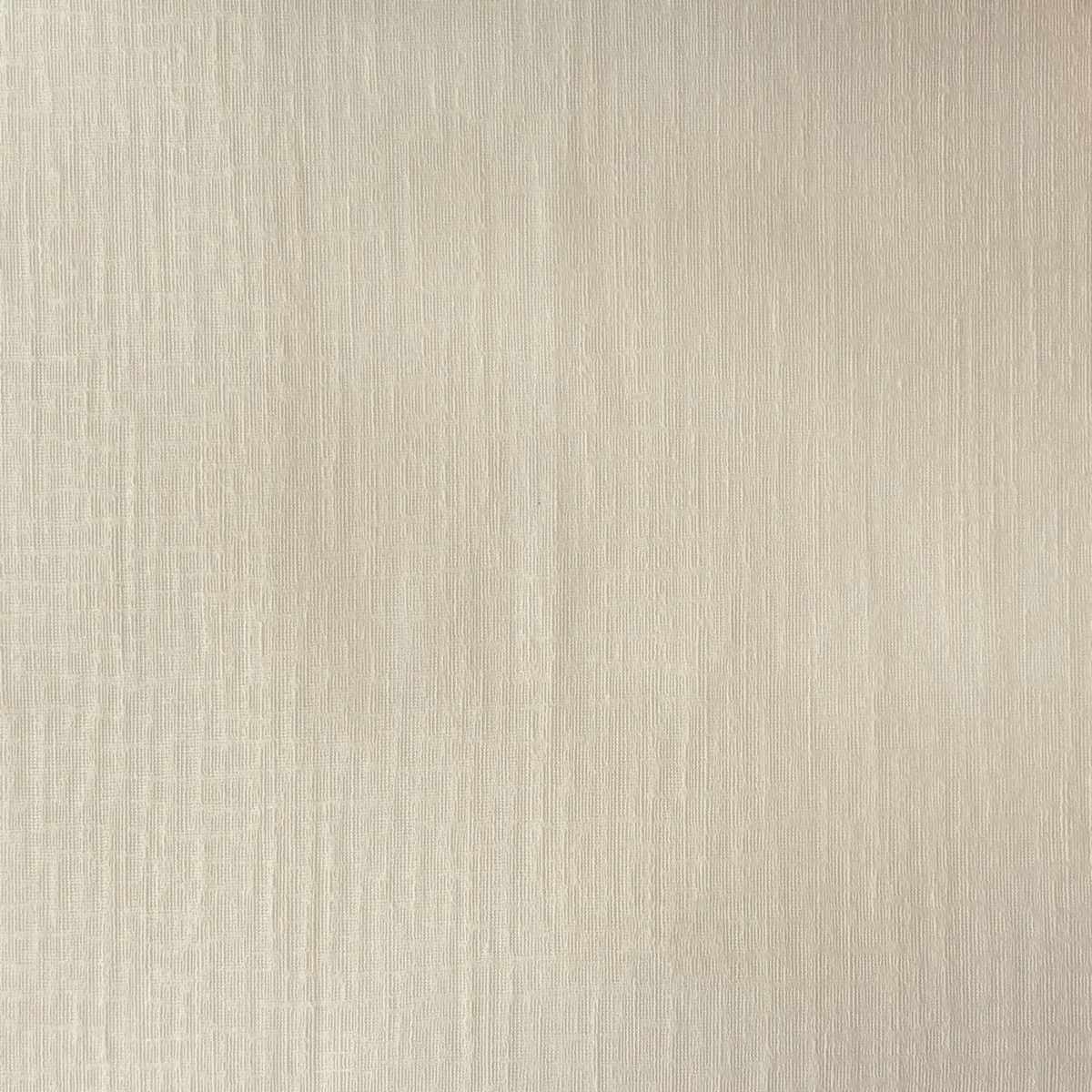 Stables Fabric - Cream by Stables Fabric from Prestigious Textiles Collective Sheers collection - white plain voile-sheer