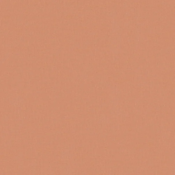 Faye Fabric - Sienna by Faye Fabric from Prestigious Textiles Faye collection - orange plain woven