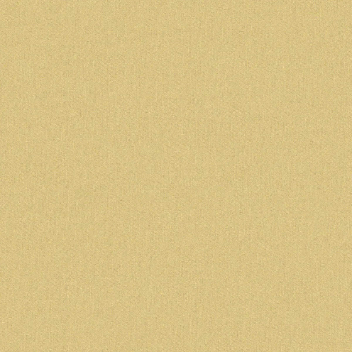 Faye Fabric - Buttercup by Faye Fabric from Prestigious Textiles Faye collection - yellow plain woven