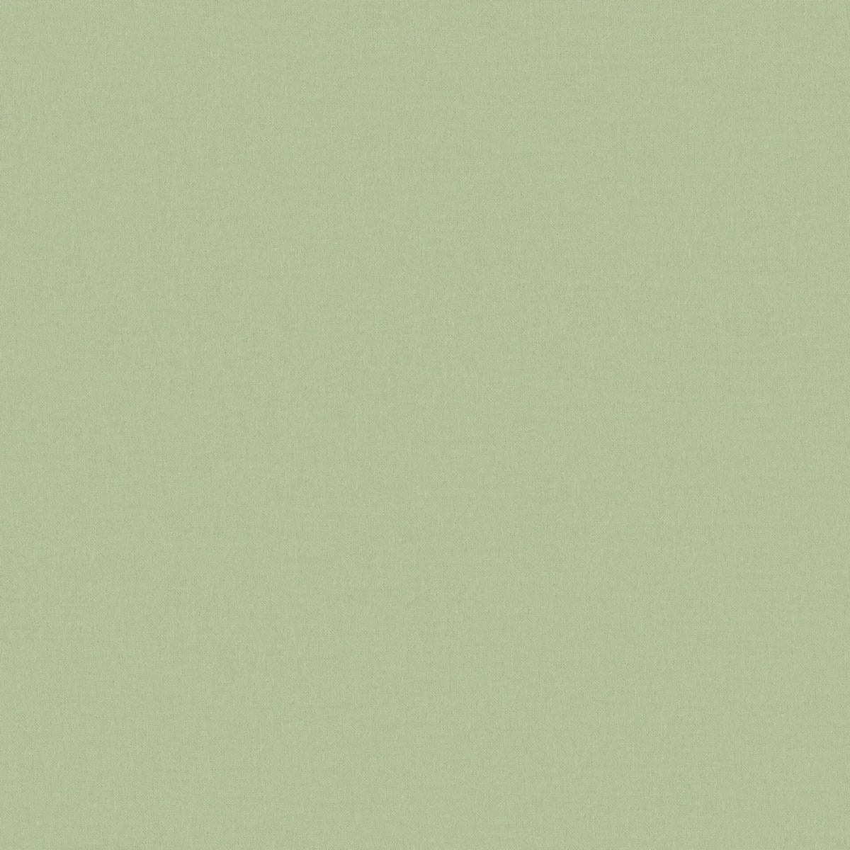 Faye Fabric - Willow by Faye Fabric from Prestigious Textiles Faye collection - green plain woven