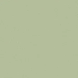 Faye Fabric from Prestigious Textiles Faye collection - green plain woven
