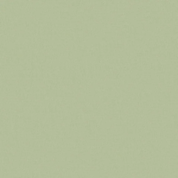 Faye Fabric from Prestigious Textiles Faye collection - green plain woven