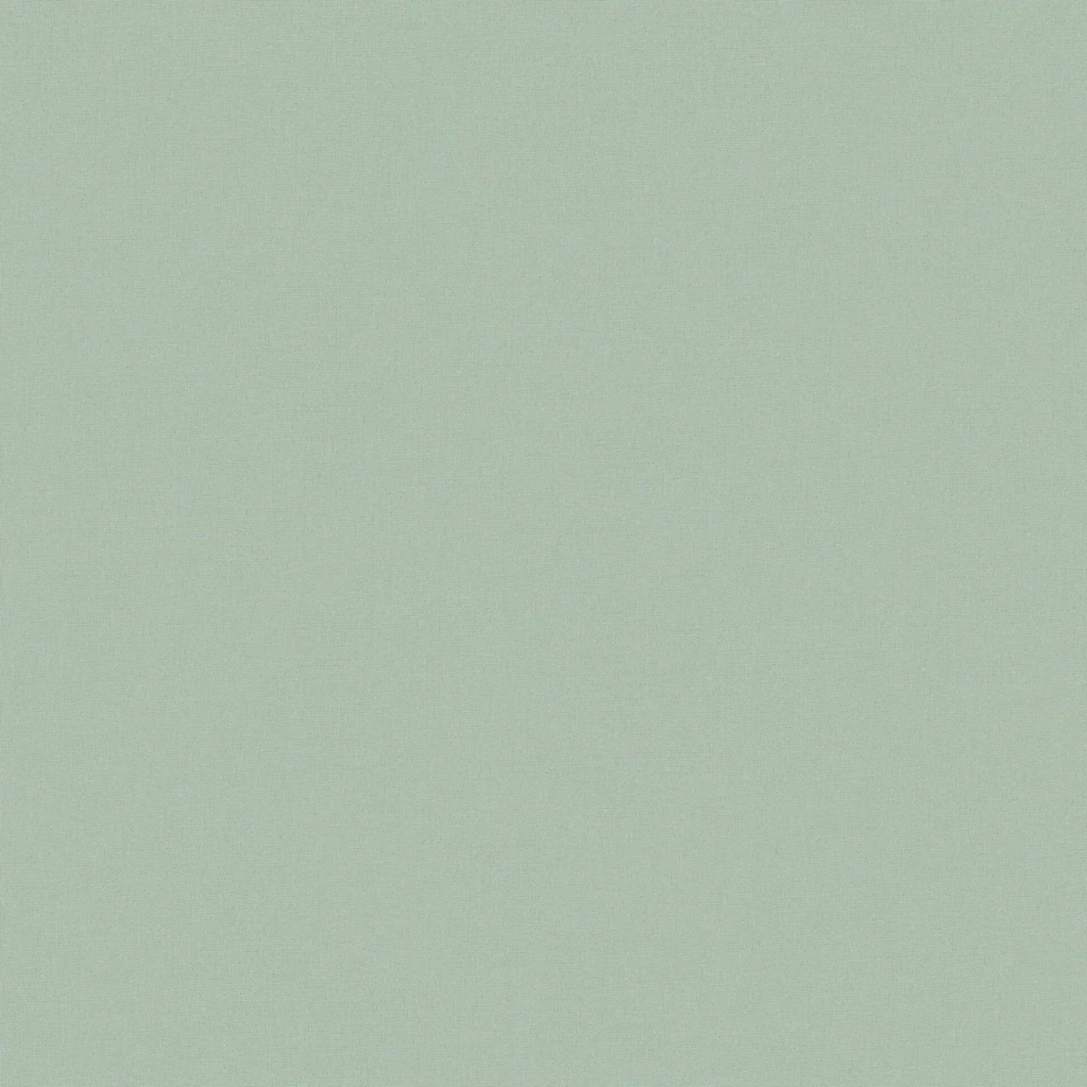Faye Fabric - Sage by Faye Fabric from Prestigious Textiles Faye collection - green plain woven