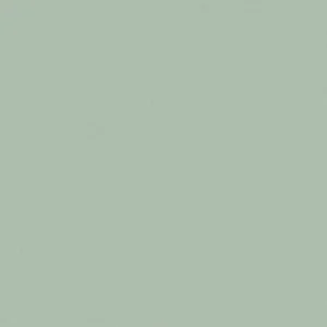 Faye Fabric from Prestigious Textiles Faye collection - green plain woven