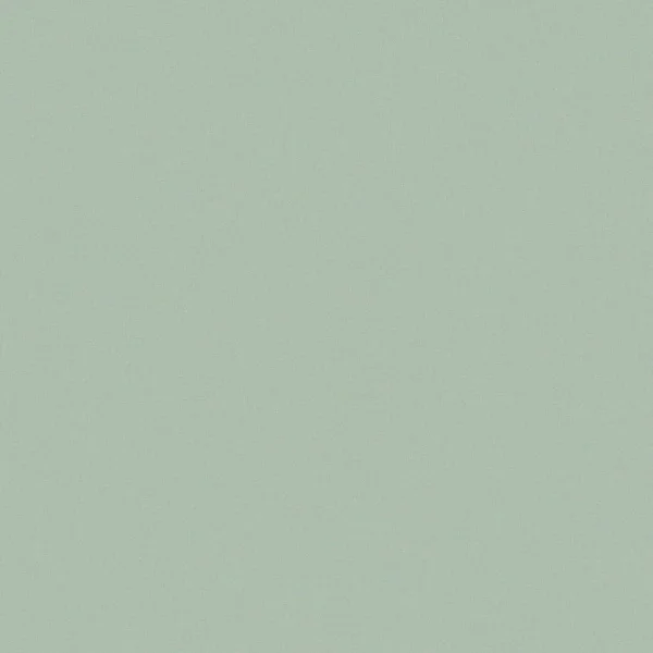Faye Fabric - Sage by Faye Fabric from Prestigious Textiles Faye collection - green plain woven