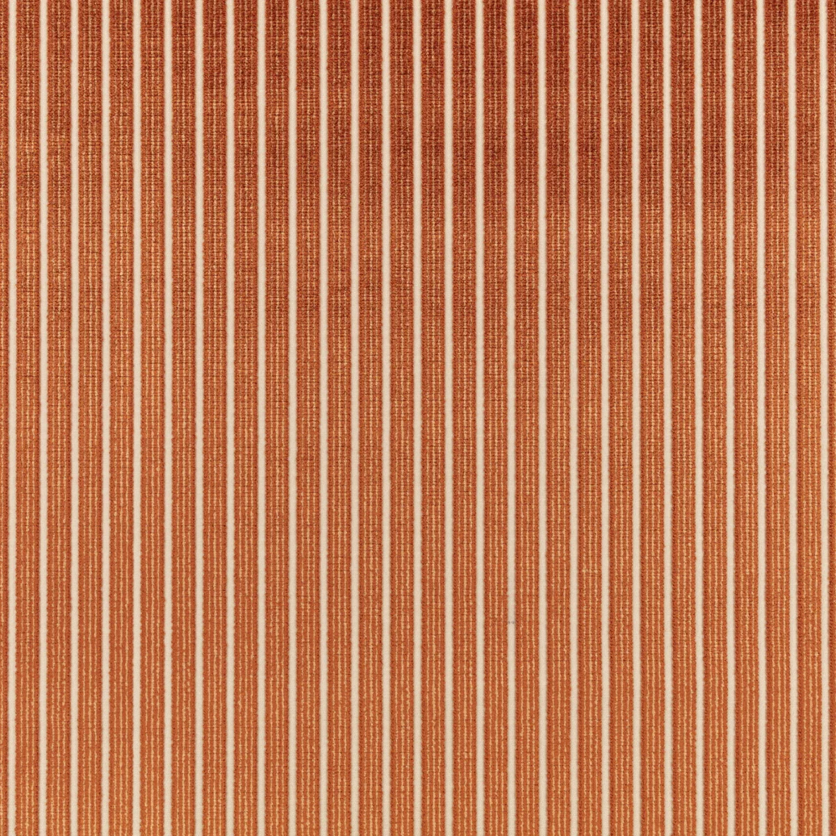 Stria Fabric - Burnt Sienna by Stria Fabric from Romo Zephi collection - orange striped velvet-chenille