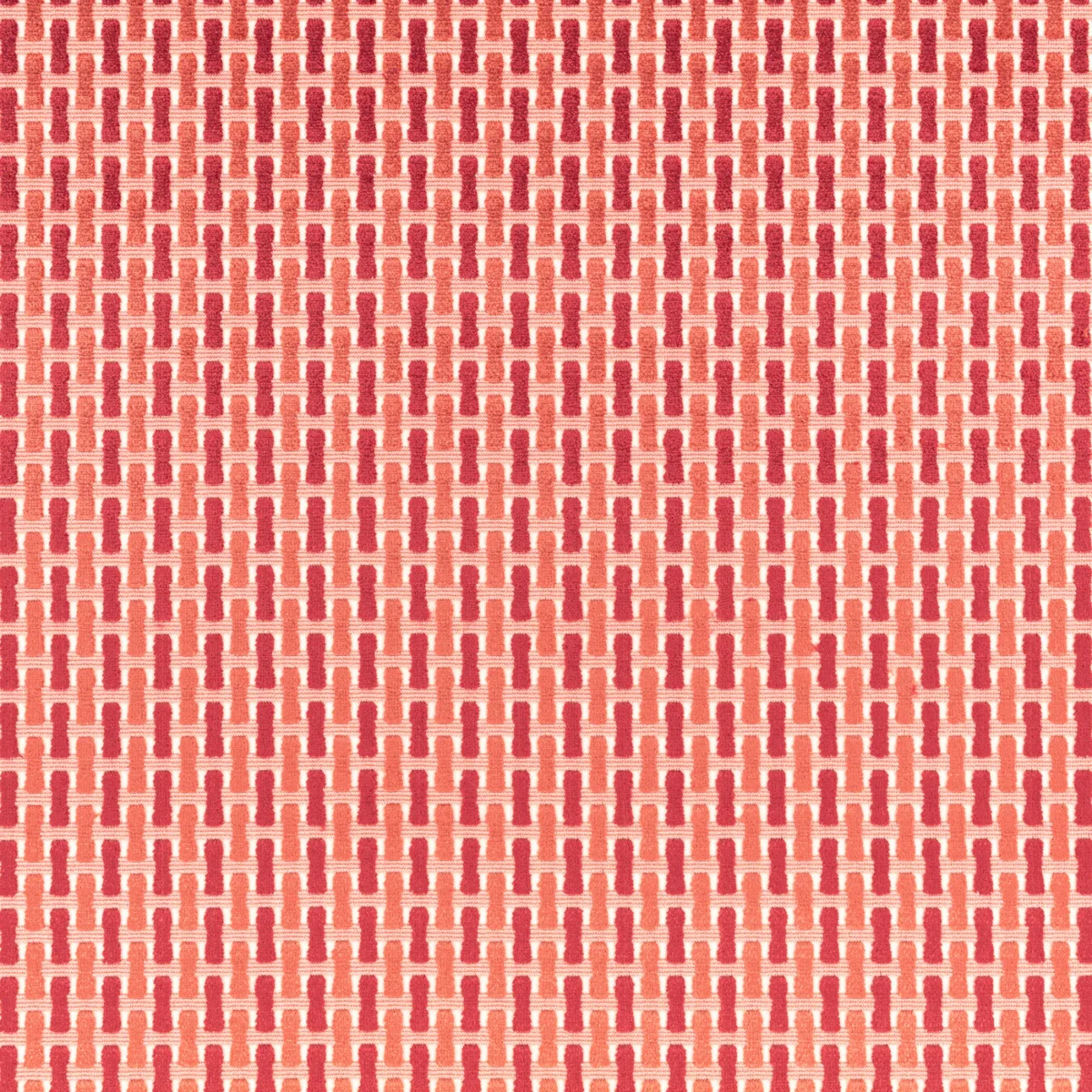 Atiba Fabric - Harissa by Atiba Fabric from Romo Zephi collection - pink striped velvet-chenille