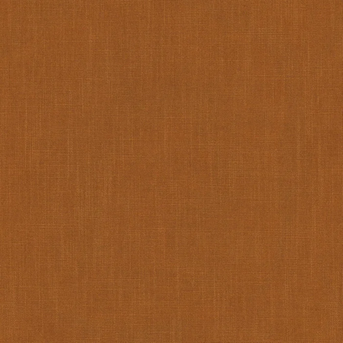 Pluto Fabric - Cinnabar swatch