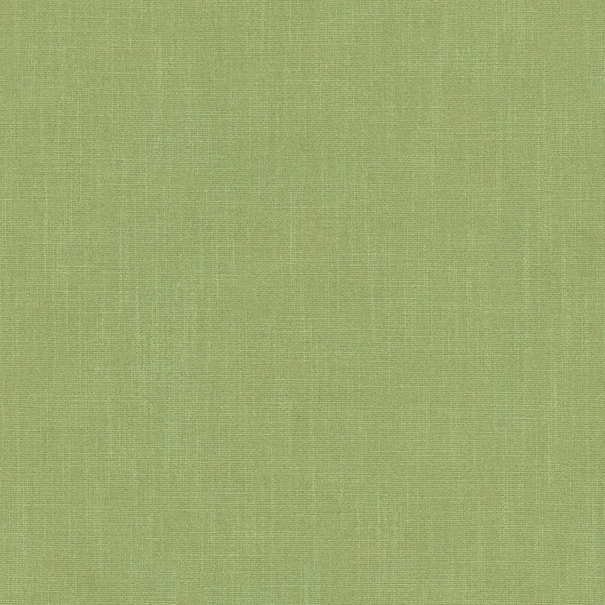 Pluto Fabric - Matcha by Pluto Fabric from Linwood Fabrics Pluto collection - green plain woven